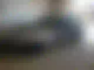 Vehicle Image- 2011 Ford Focus