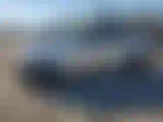 Vehicle Image- 2010 Ford Focus