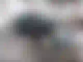 Vehicle Image- 2012 Ford Focus