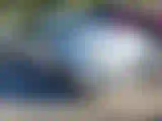 Vehicle Image- 2012 Ford Focus