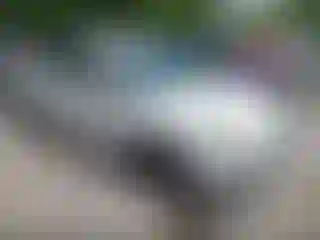 Vehicle Image- 2012 Ford Focus