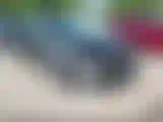 Vehicle Image- 2011 Ford Focus