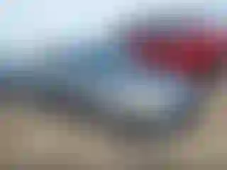 Vehicle Image- 2010 Ford Focus
