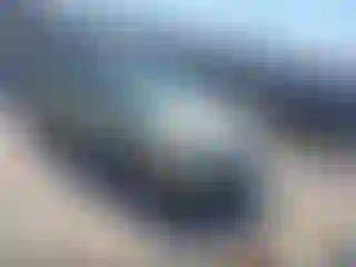 Vehicle Image- 2010 Ford Focus