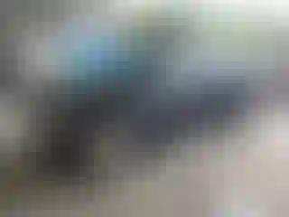 Vehicle Image- 2010 Ford Focus