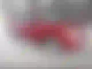 Vehicle Image- 2010 Ford Focus