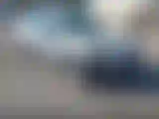 Vehicle Image- 2010 Ford Focus