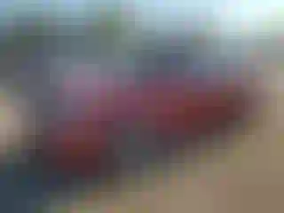 Vehicle Image- 2010 Ford Focus