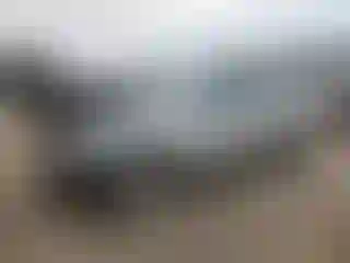 Vehicle Image- 2010 Ford Focus