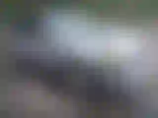 Vehicle Image- 2011 Ford Focus