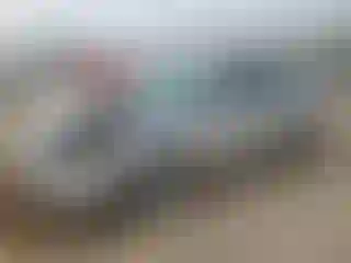 Vehicle Image- 2012 Ford Focus