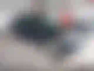 Vehicle Image- 2012 Ford Focus