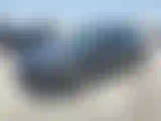 Vehicle Image- 2012 Ford Focus
