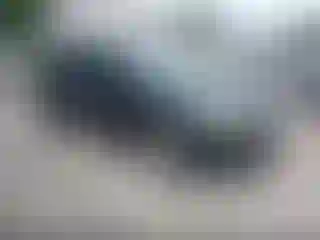 Vehicle Image- 2012 Ford Focus