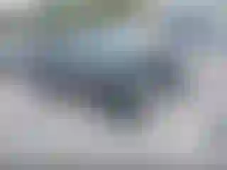 Vehicle Image- 2012 Ford Focus