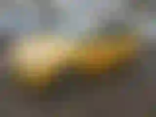 Vehicle Image- 2012 Ford Focus