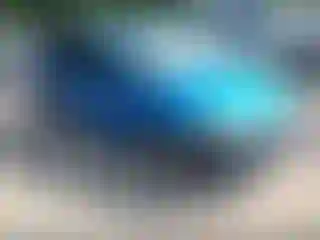 Vehicle Image- 2012 Ford Focus