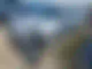 Vehicle Image- 2012 Ford Focus