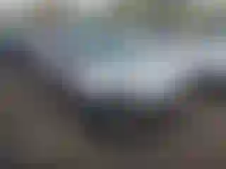Vehicle Image- 2012 Ford Focus