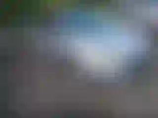 Vehicle Image- 2012 Ford Focus