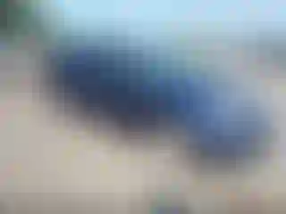 Vehicle Image- 2012 Ford Focus