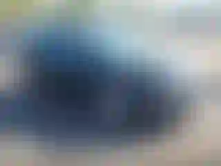Vehicle Image- 2012 Ford Focus