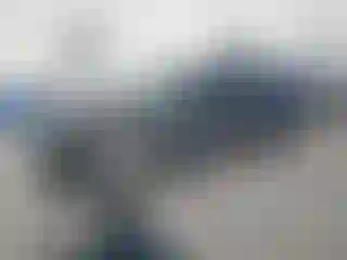 Vehicle Image- 2012 Ford Focus