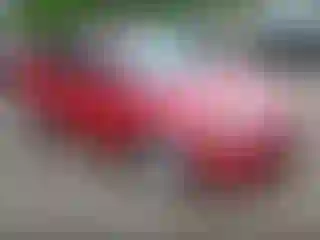 Vehicle Image- 2012 Ford Focus