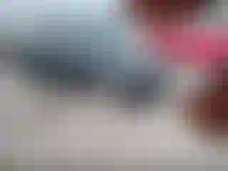 Vehicle Image- 2012 Ford Focus
