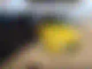 Vehicle Image- 2012 Ford Focus