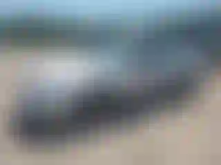 Vehicle Image- 2006 Ford Taurus