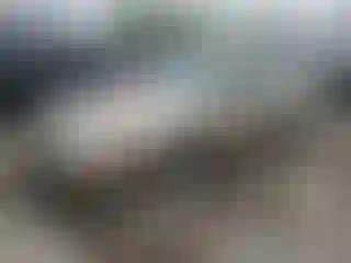 Vehicle Image- 2001 Ford Taurus