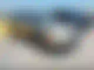 Vehicle Image- 2004 Ford Taurus