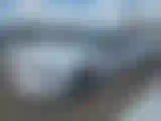 Vehicle Image- 1995 Ford Mustang