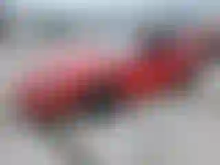 Vehicle Image- 1996 Ford Mustang
