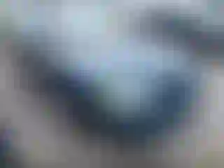 Vehicle Image- 1996 Ford Mustang