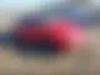 Vehicle Image- 1997 Ford Mustang