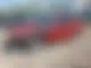 Vehicle Image- 1996 Ford Mustang