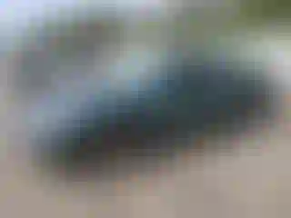 Vehicle Image- 1997 Ford Taurus