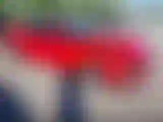 Vehicle Image- 2015 Ford Mustang