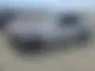 Vehicle Image- 2019 Ford Mustang
