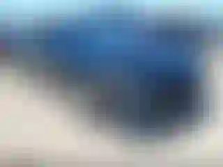 Vehicle Image- 2019 Ford Mustang