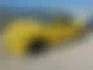 Vehicle Image- 2015 Ford Mustang