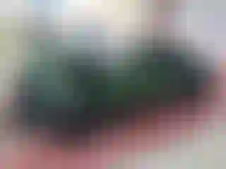 Vehicle Image- 2023 Ford Mustang