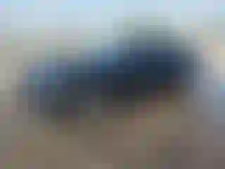 Vehicle Image- 2016 Ford Mustang