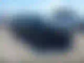Vehicle Image- 2020 Ford Mustang