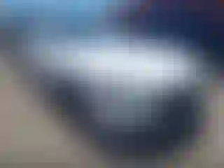 Vehicle Image- 2019 Ford Mustang