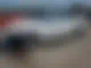 Vehicle Image- 2017 Ford Mustang
