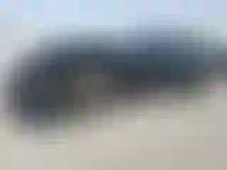 Vehicle Image- 2019 Ford Mustang