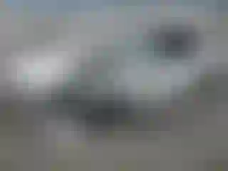 Vehicle Image- 2021 Ford Mustang